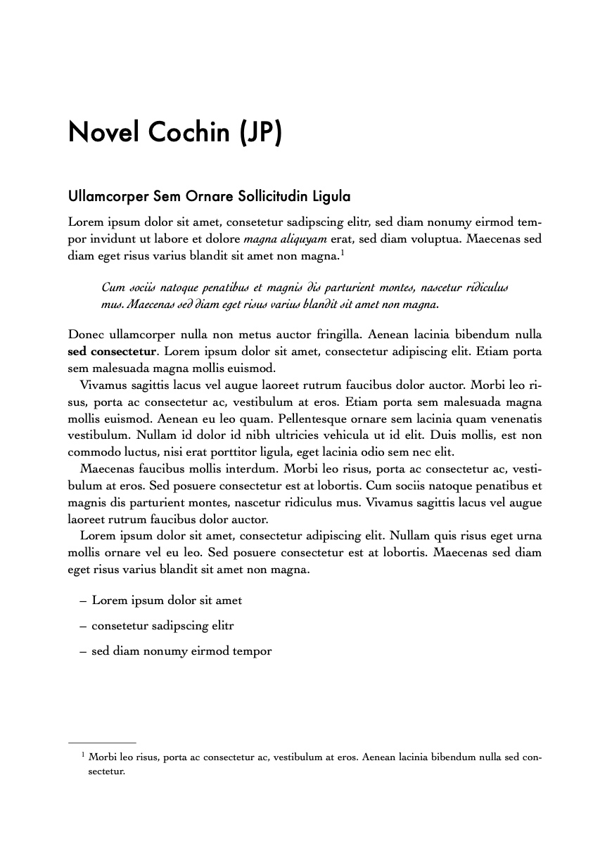 Novel Cochin (JP) Preview 1